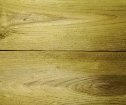 1698163446