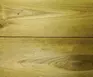 1698163446